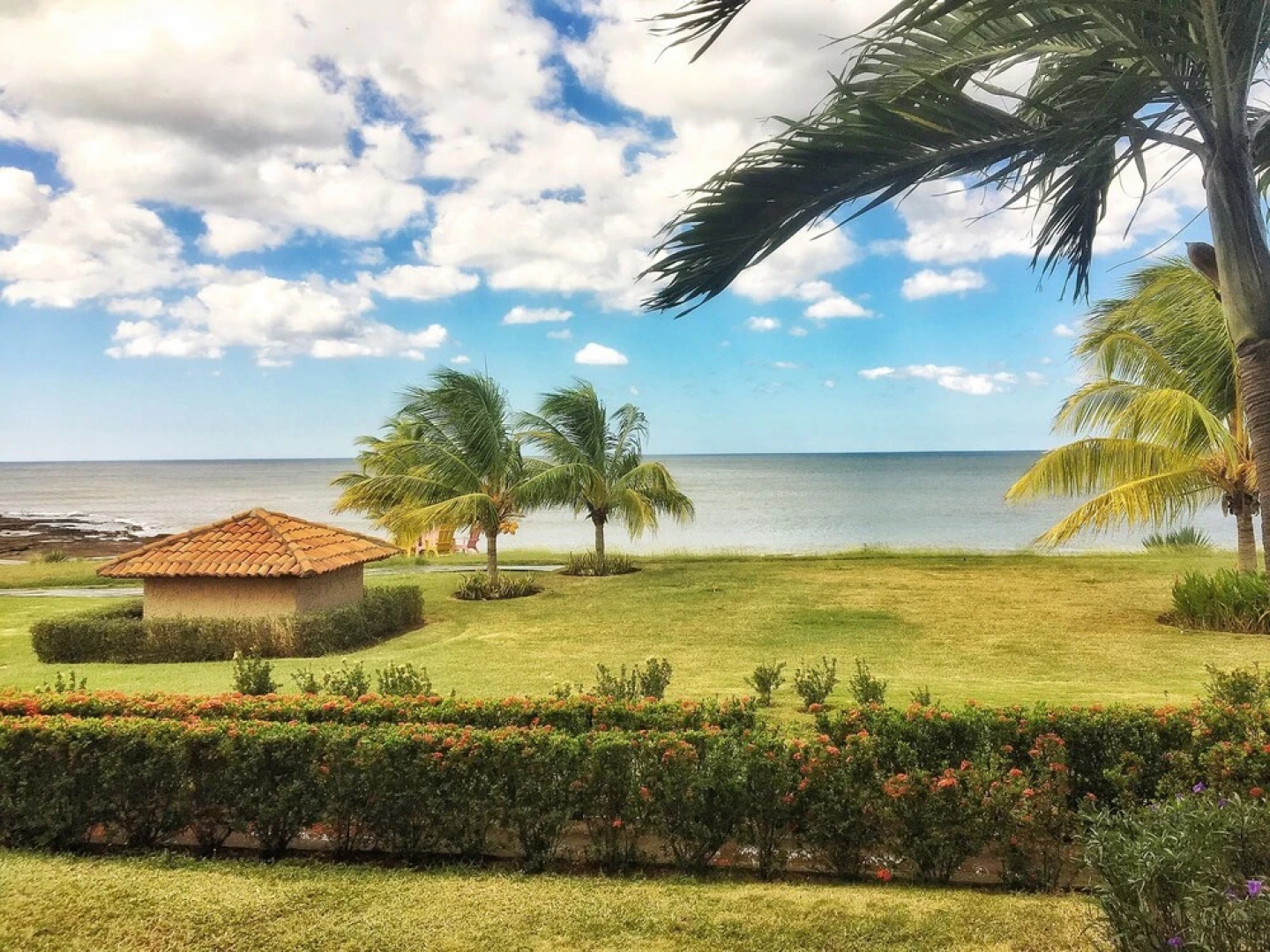 Rivas Deluxe Suite 117