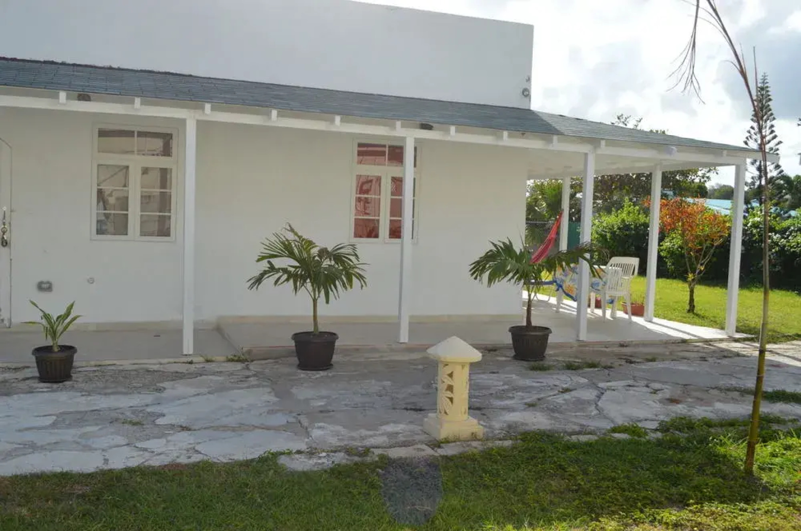 Tropical Gecko Studio