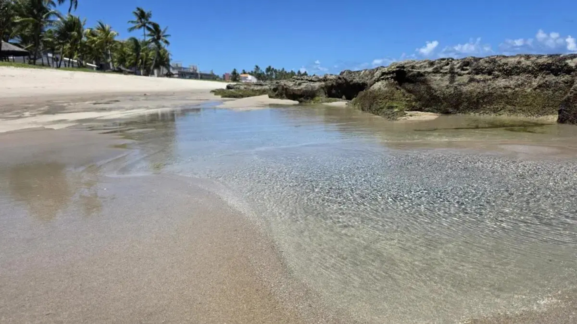 Casa Na Praia Dos Carneiros by Carpediem
