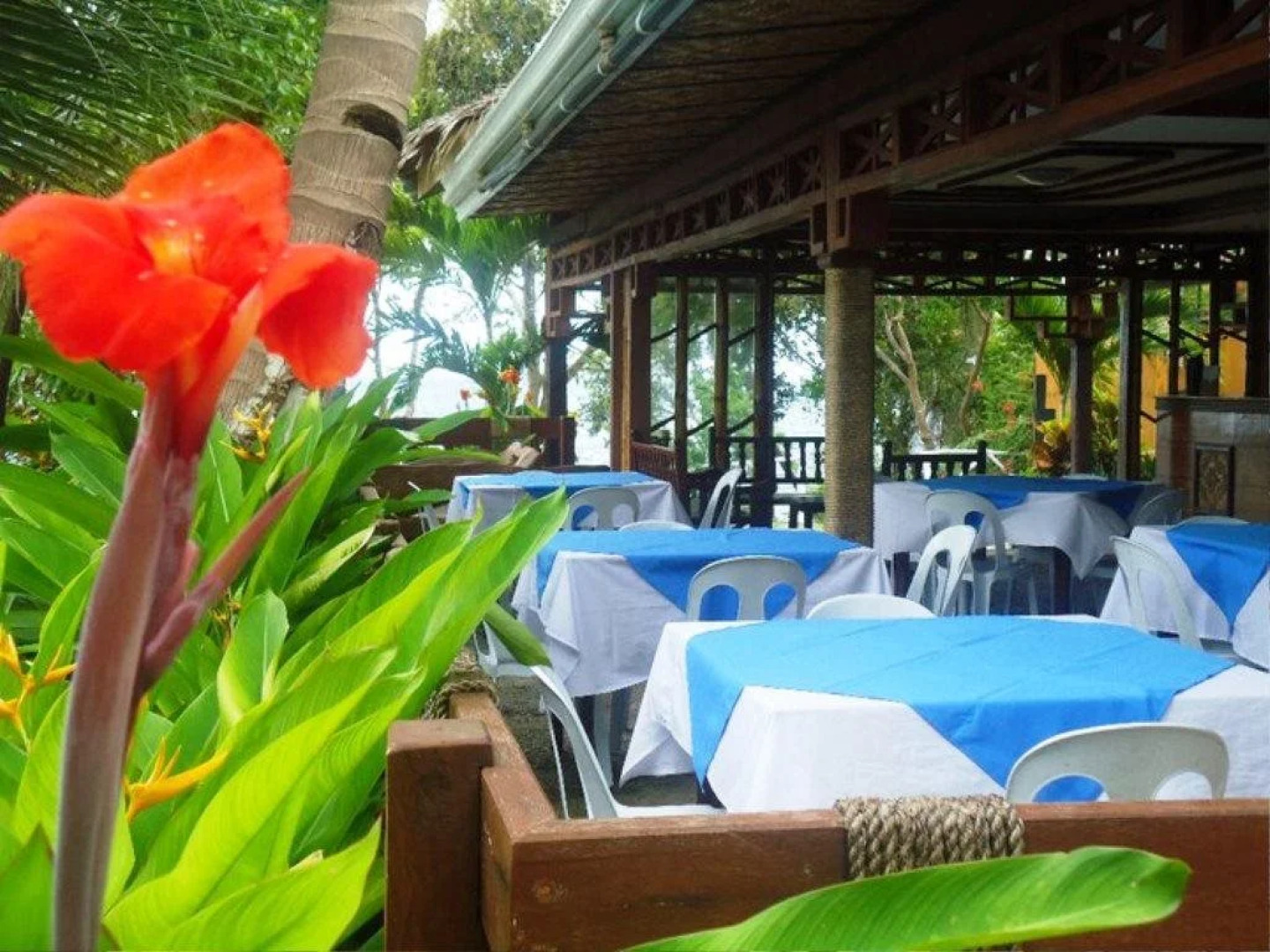 Panglao Kalikasan Dive Resort