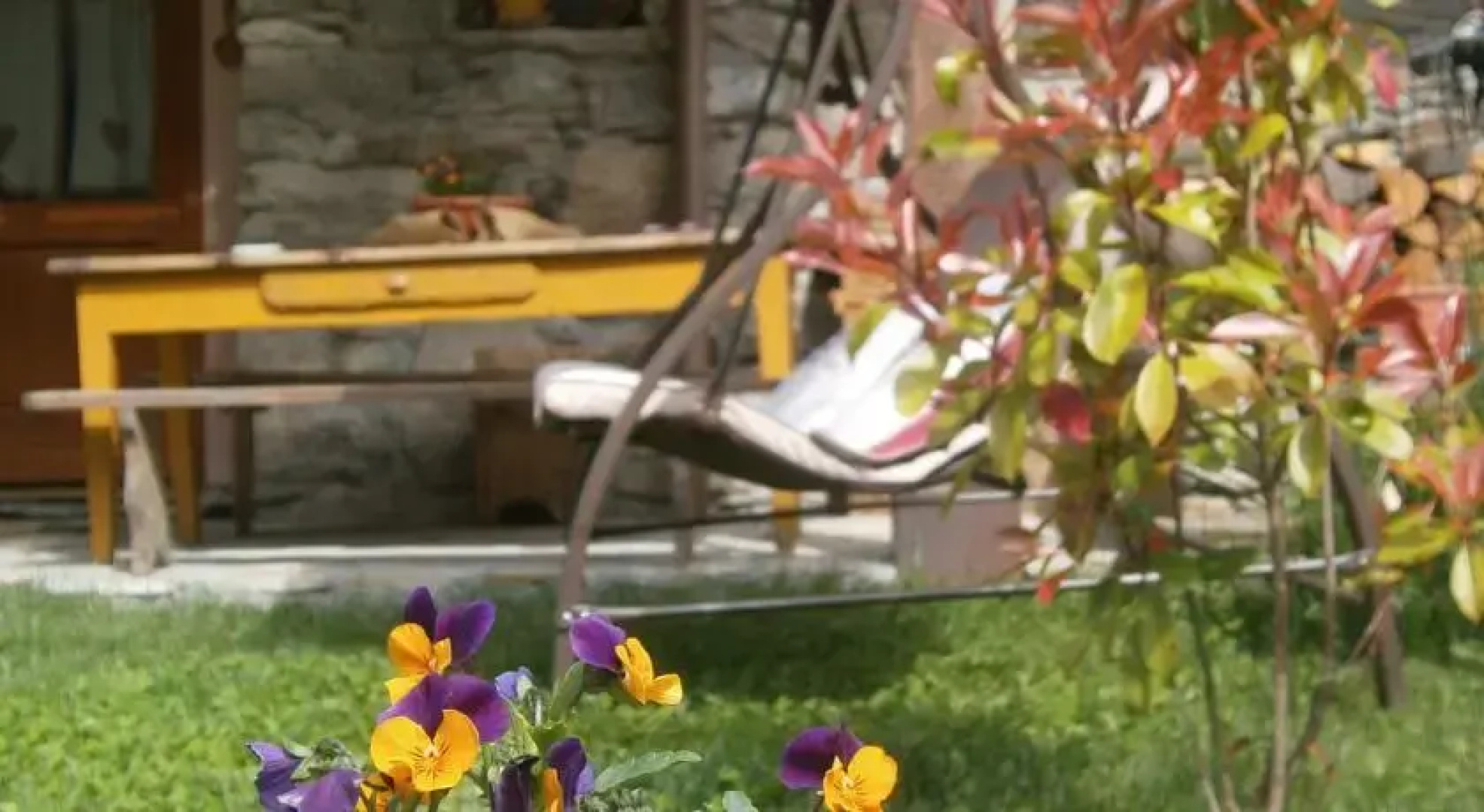 B&B Il Canto del Bosco