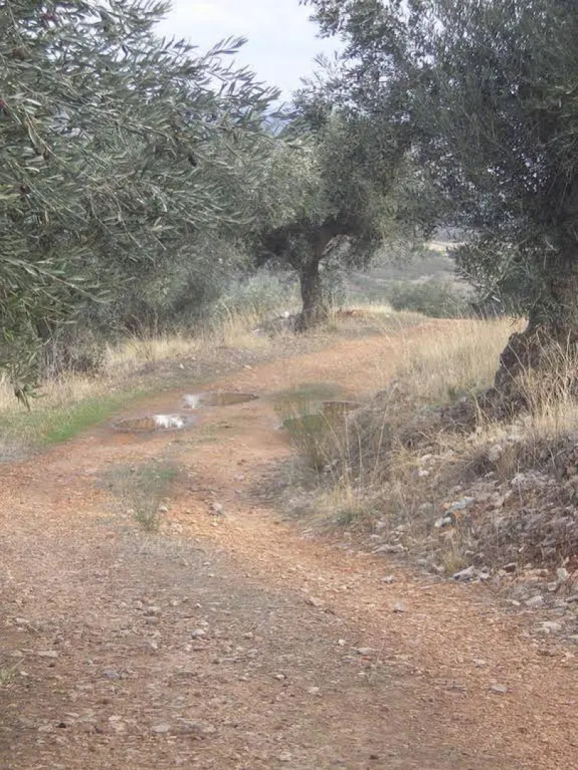 Apartamento Rural Tajo Internacional