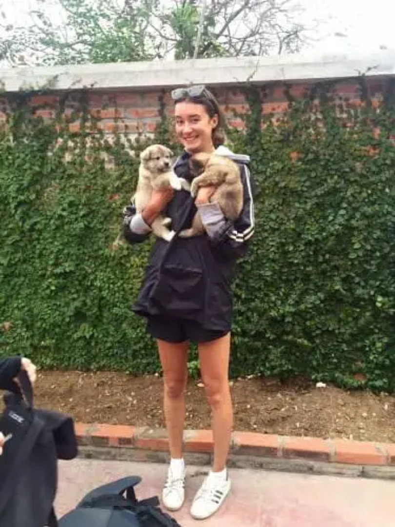 Cat Ba Mountain View