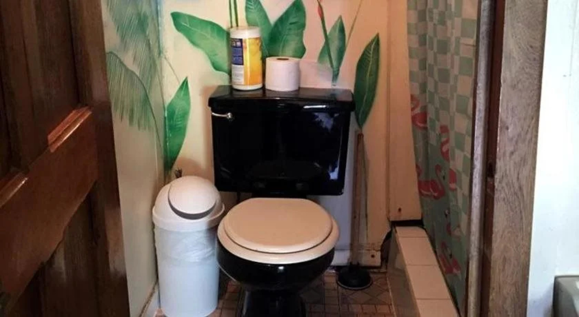 Panama's Paradise Saigoncito