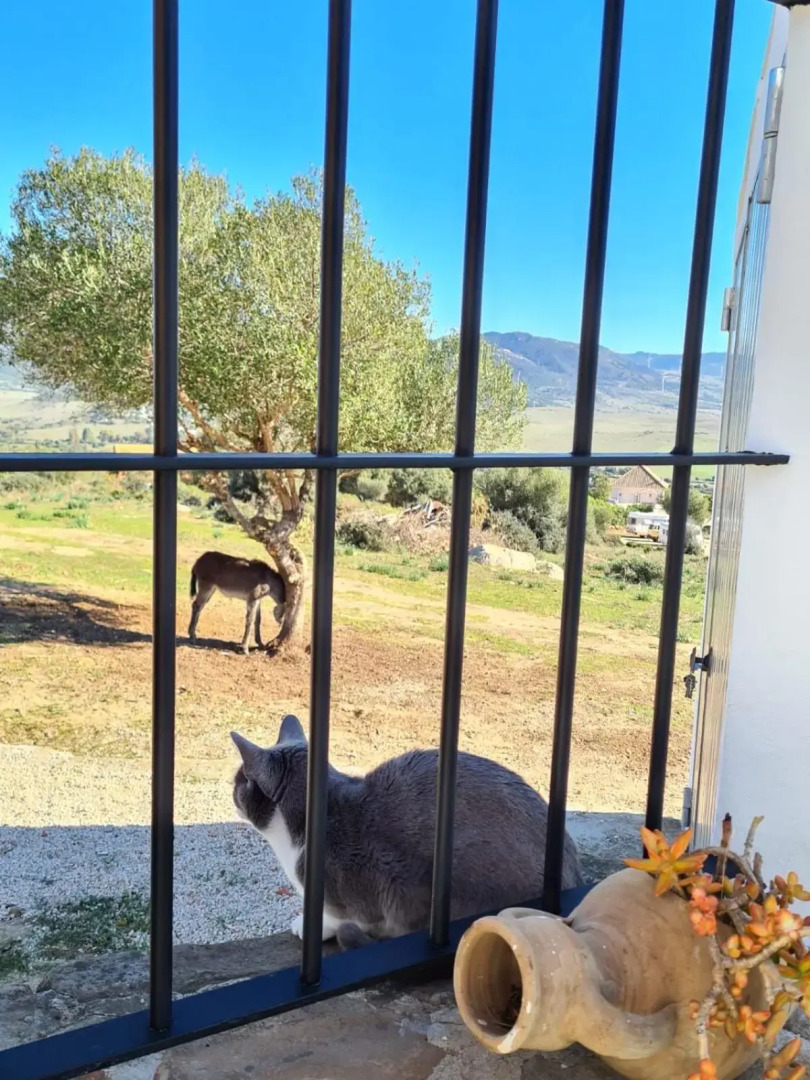 Rancho Blanco Tarifa