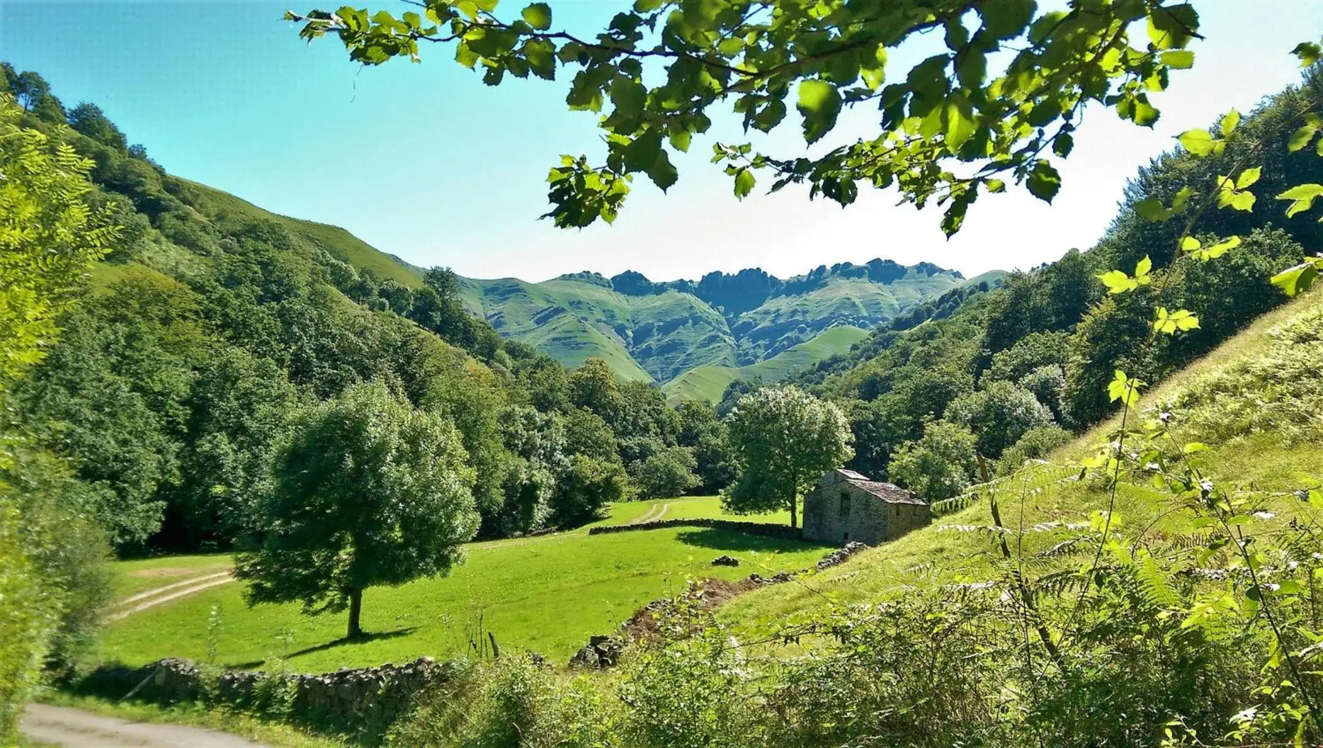 Pidream Cottage . Cabañas de Pisueña