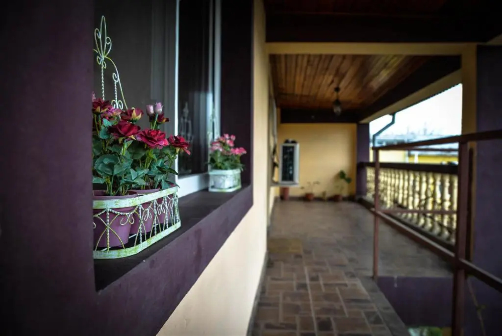 Collosal Apartment with Garden