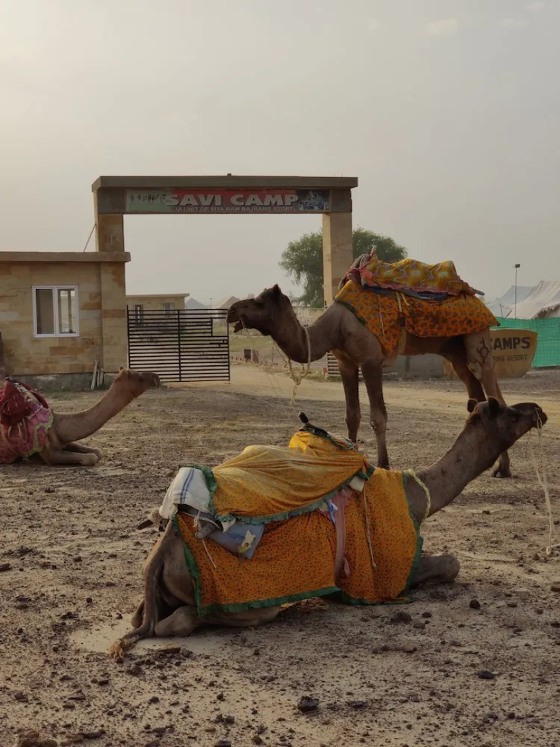 Savi Camps Jaisalmer