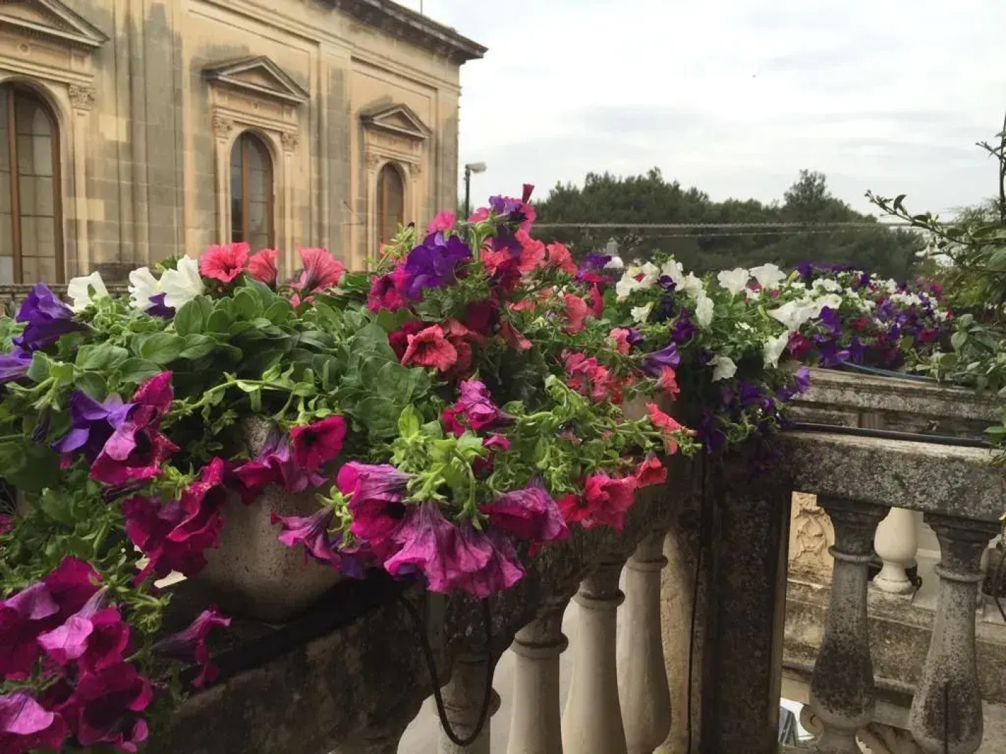 La Dimora Delle Rondini