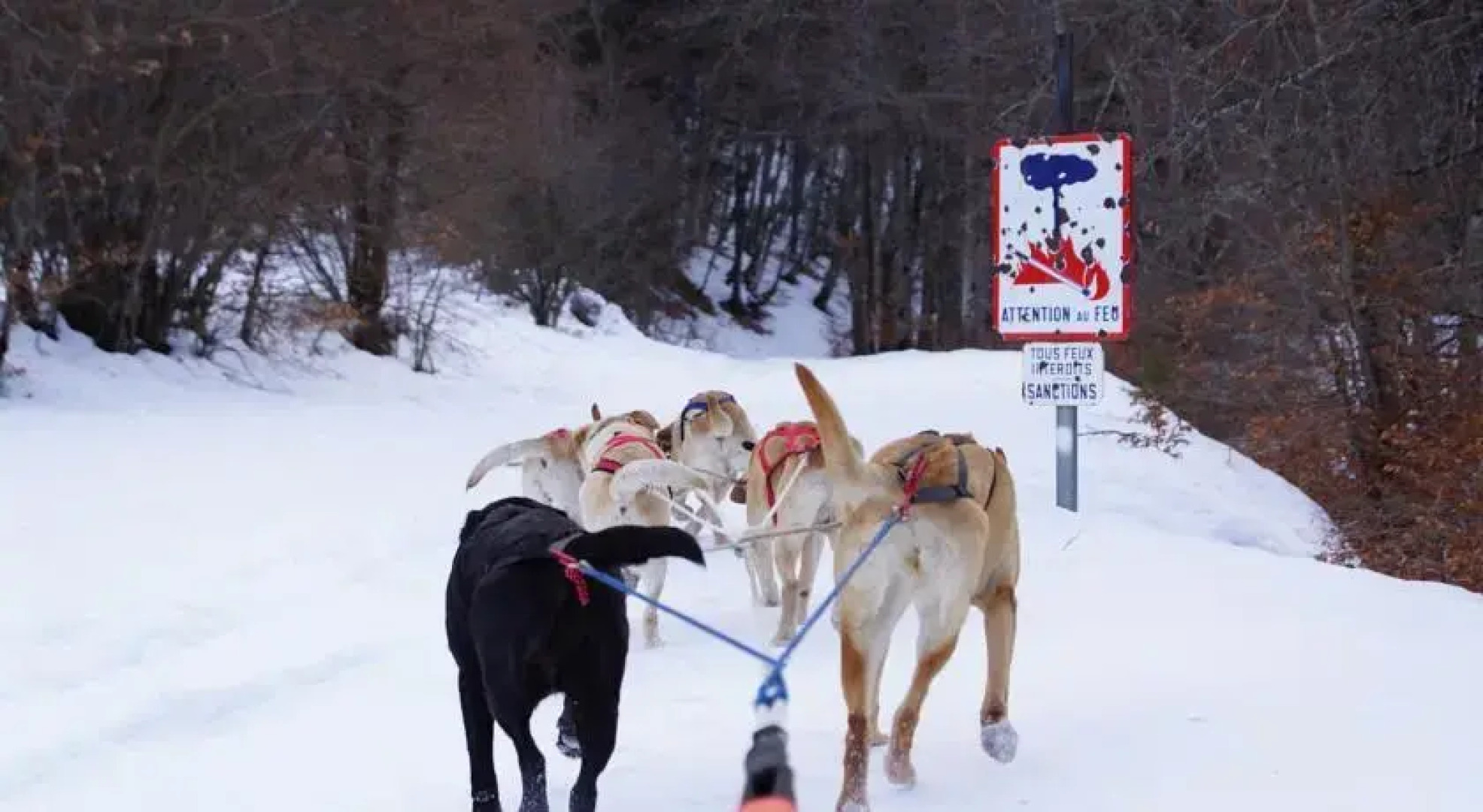 Chambres dhôtes La Canadienne