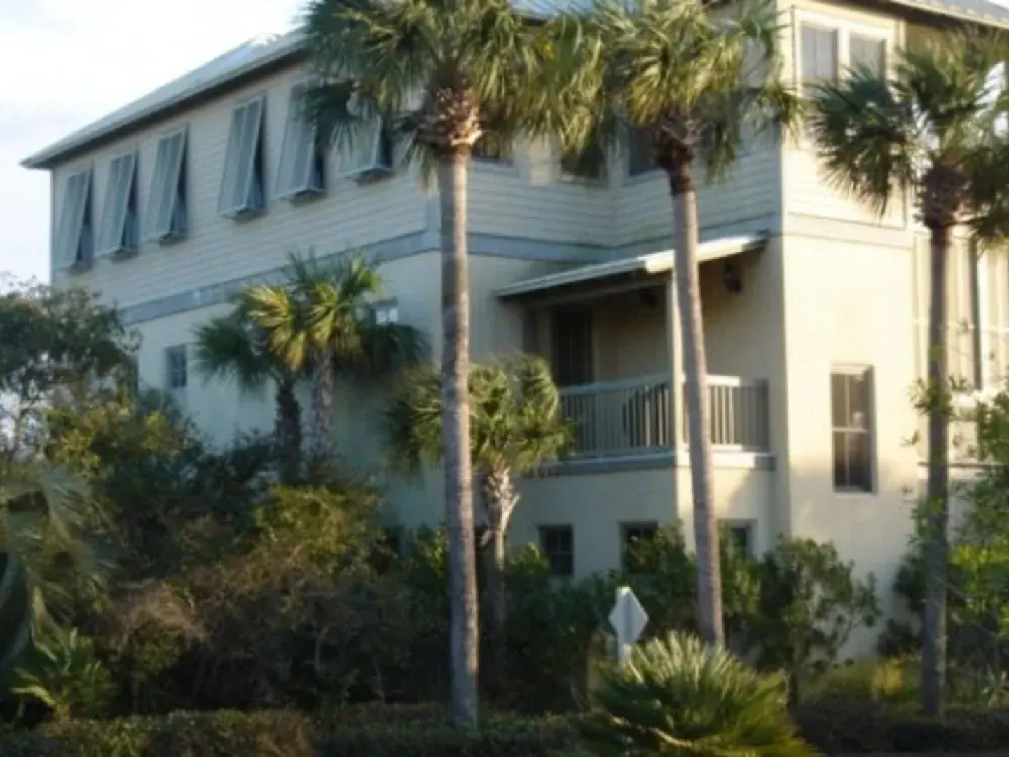 Tortuga by RedAwning