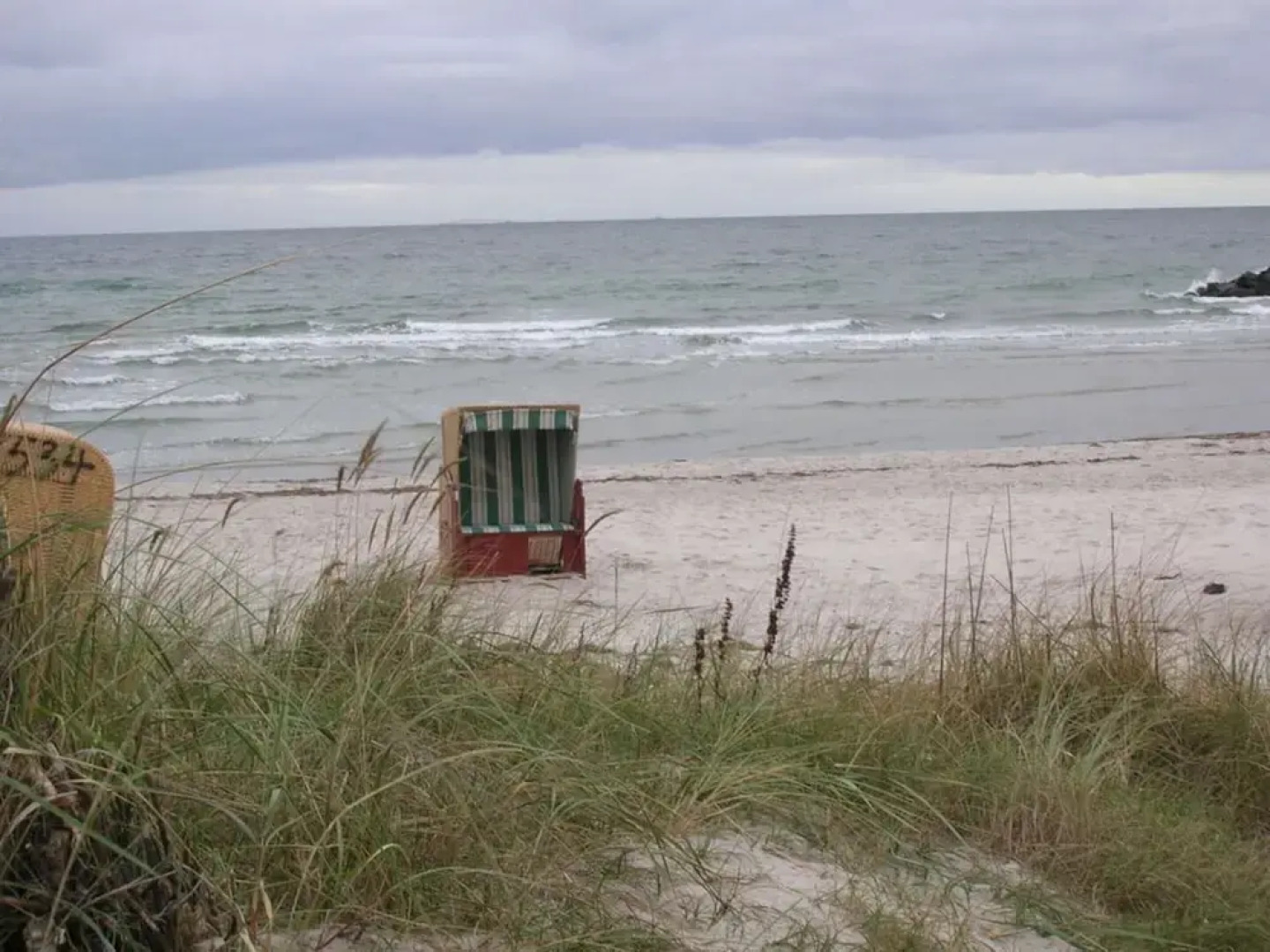 at the Organic Farm Angus-hof