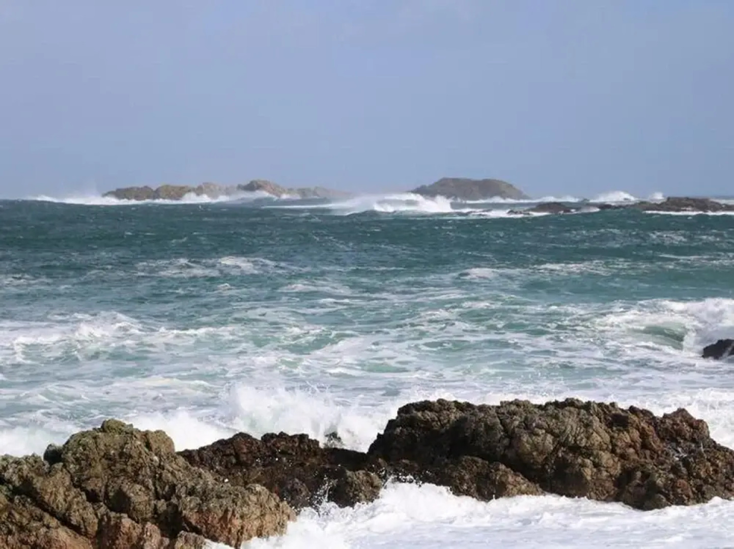 Shell Hill Deluxe Apartment in Coleraine