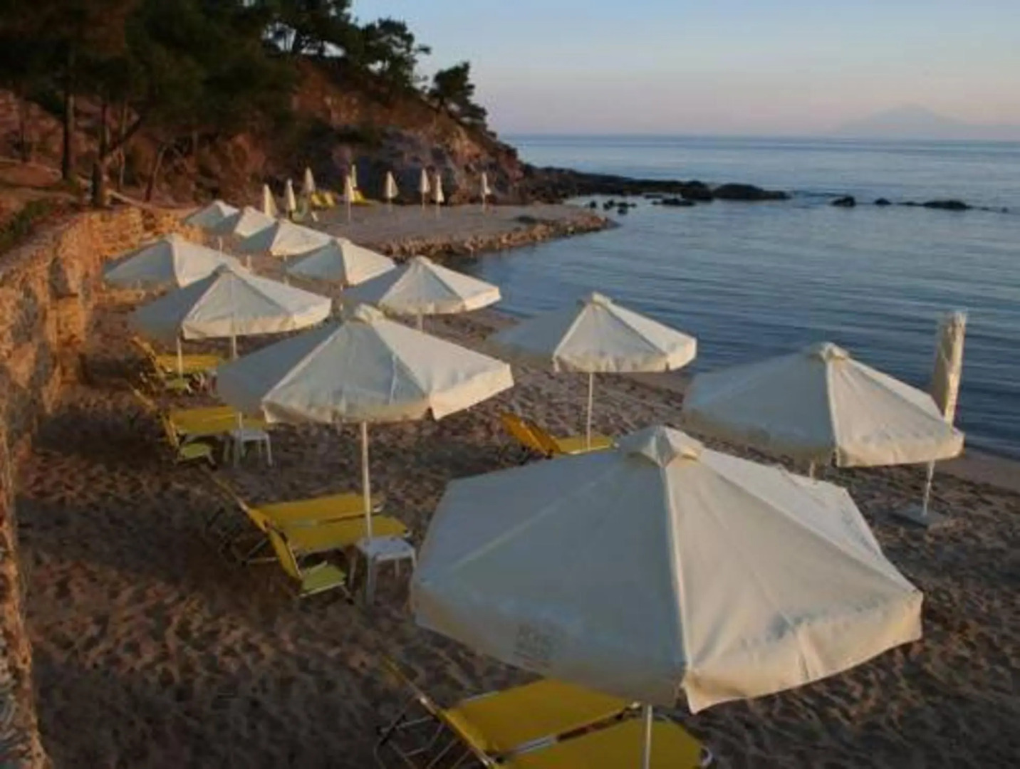 Royal Paradise Beach Resort & Spa