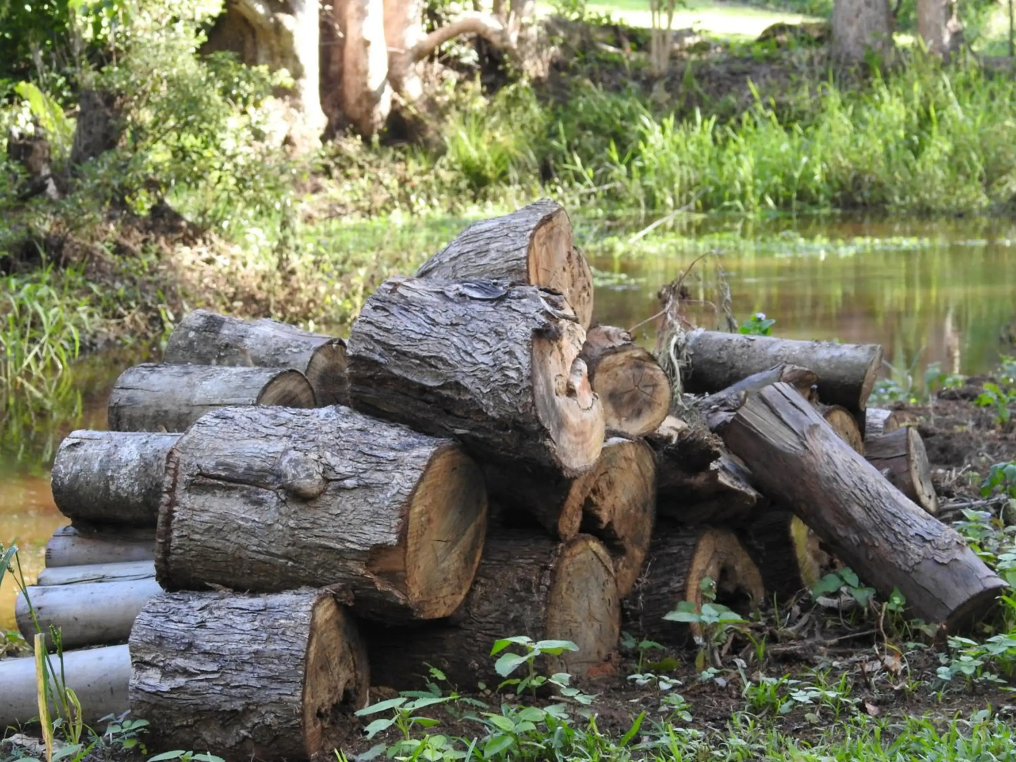 Pencil Creek Cottages