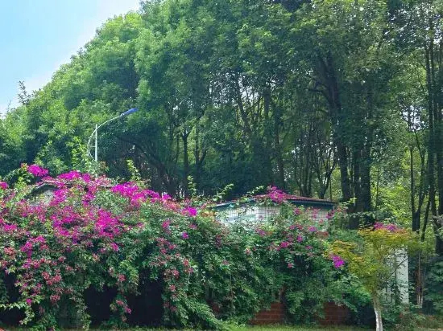 Shuhui Hotel of Deyang