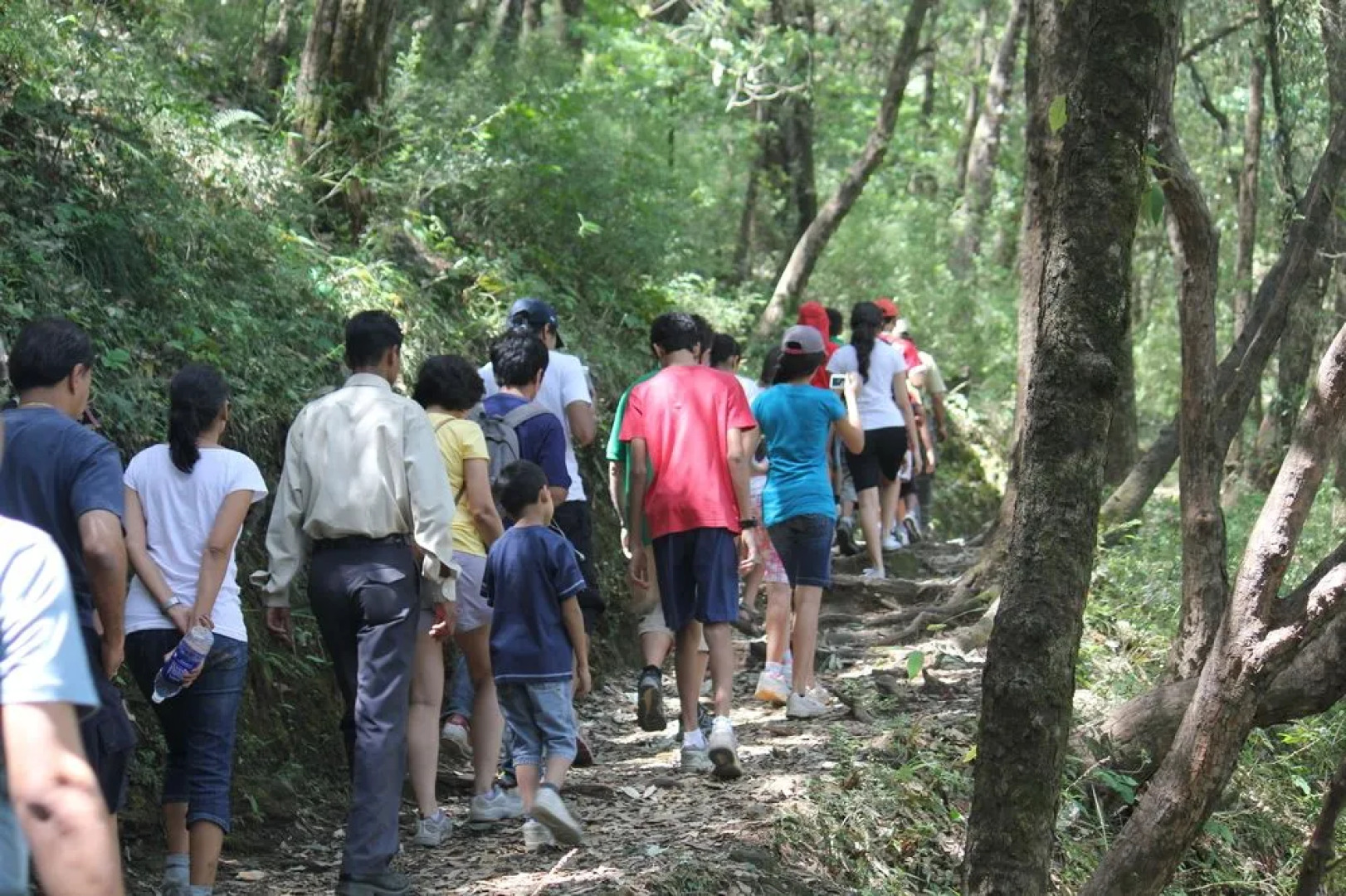 Aamod Resort - Shoghi