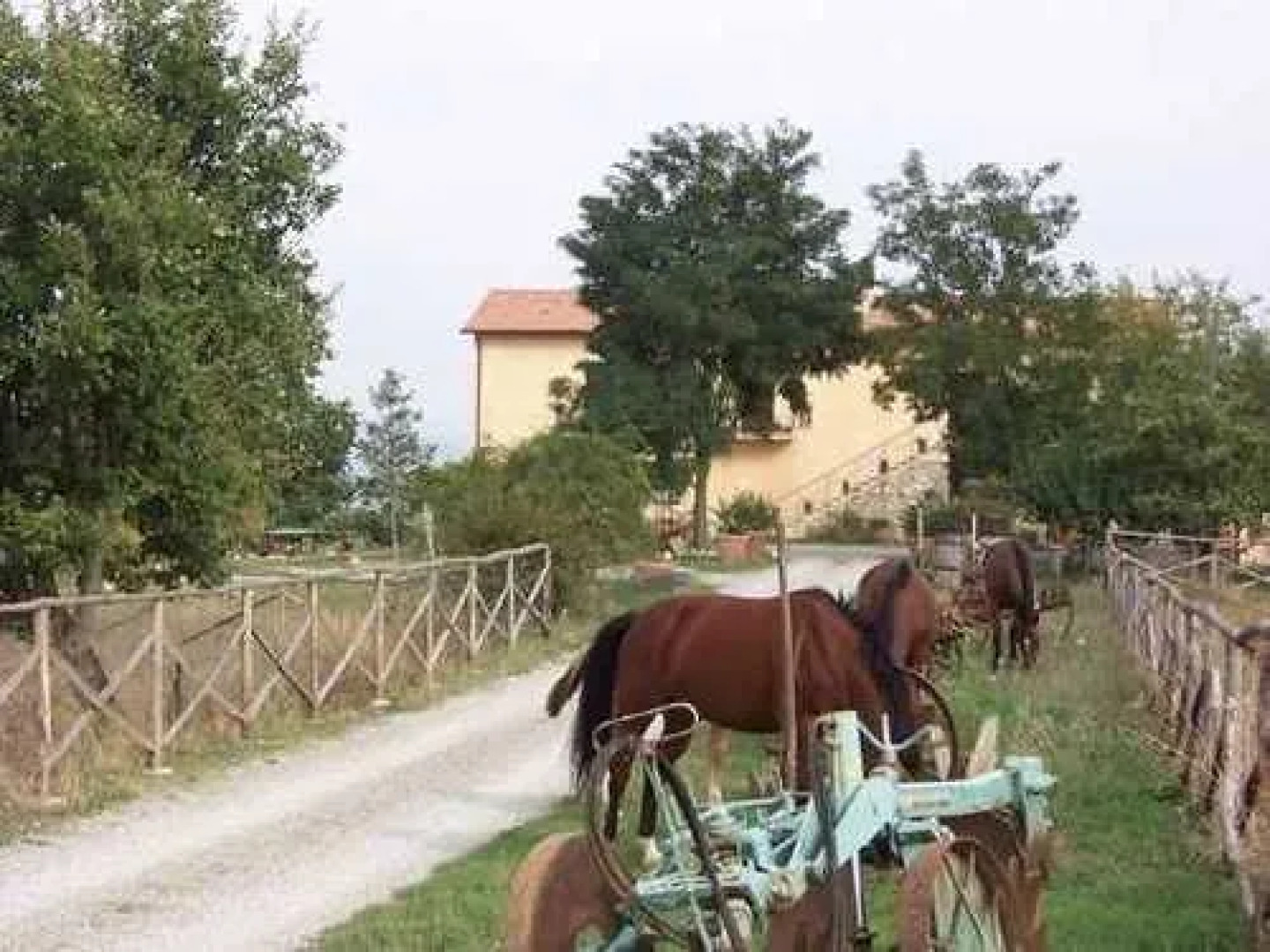 Agriturismo Noce Torta