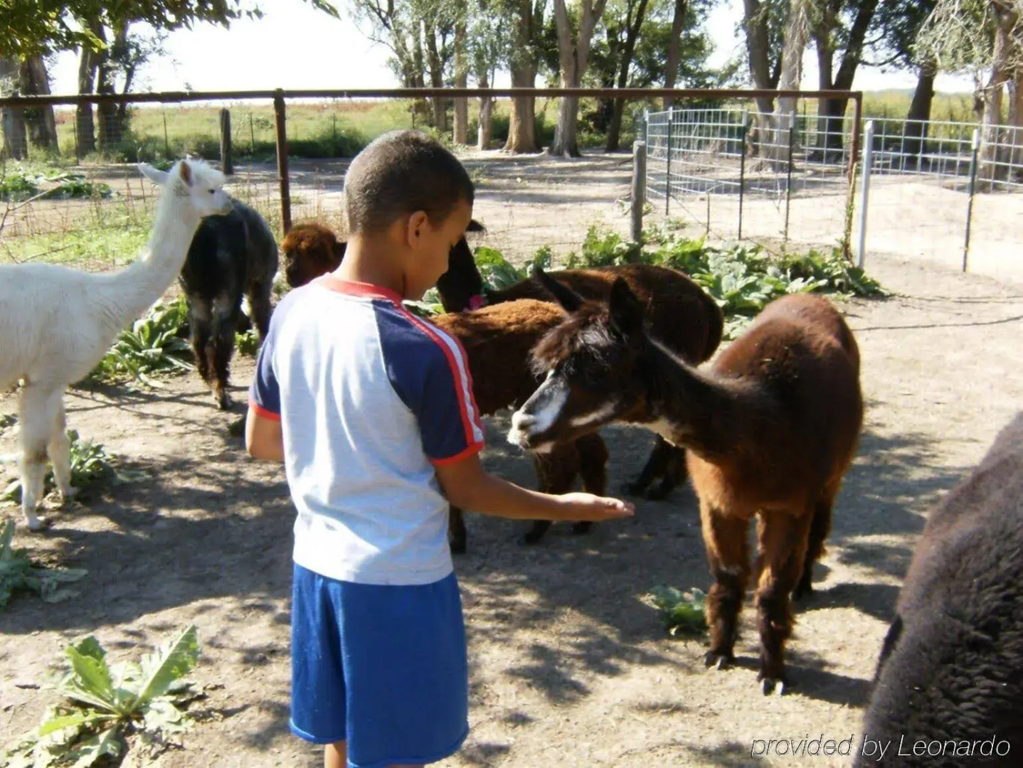 Best Western Angus Inn