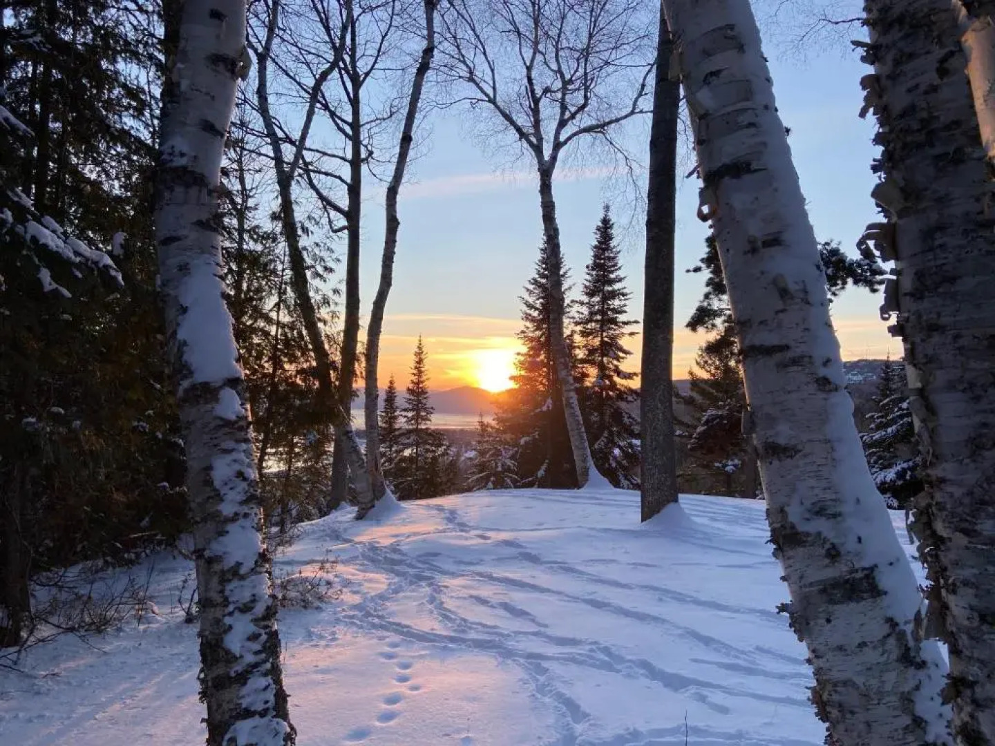 Chalet Sous Les Pins