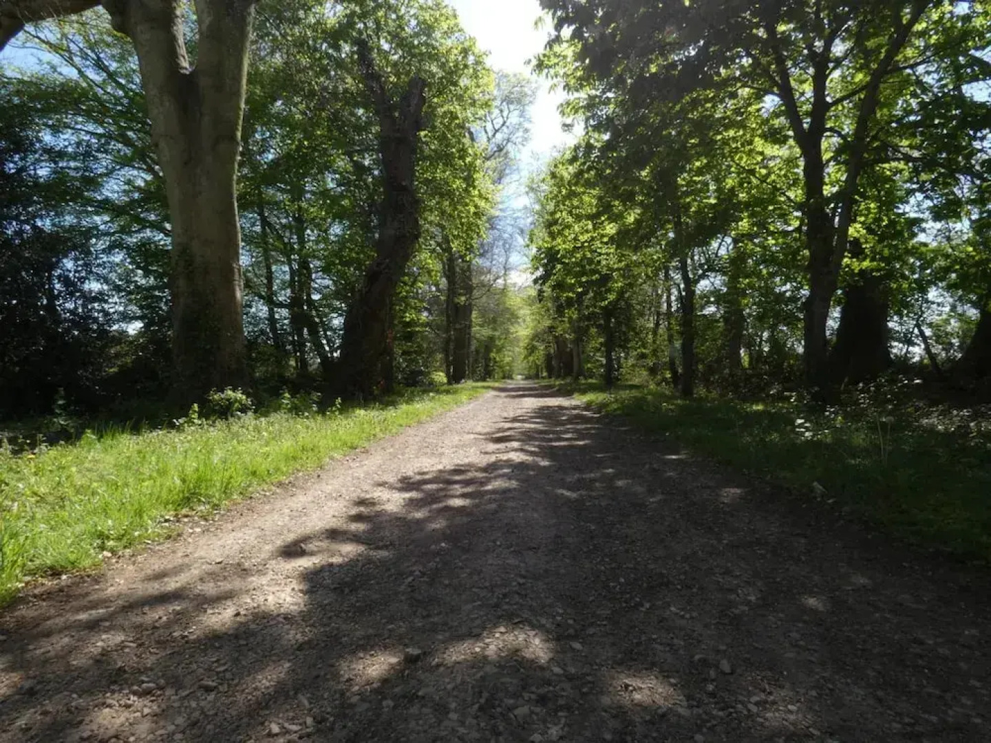 Hôtel des 4 continents