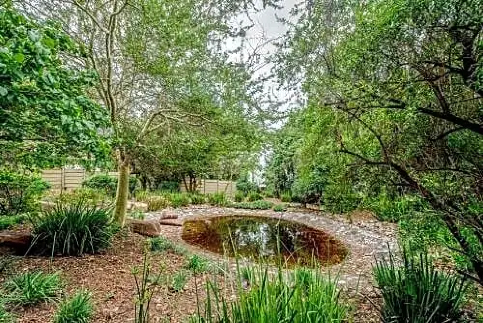 Wild Olive Executive Suite