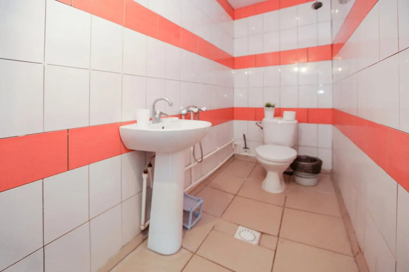 Green Oasis. Vavilon (Грин Оазис. Вавилон)