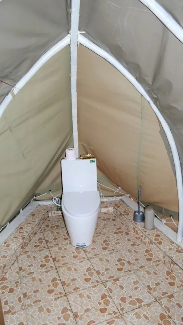 Amanya 2-rooms Lioness Family