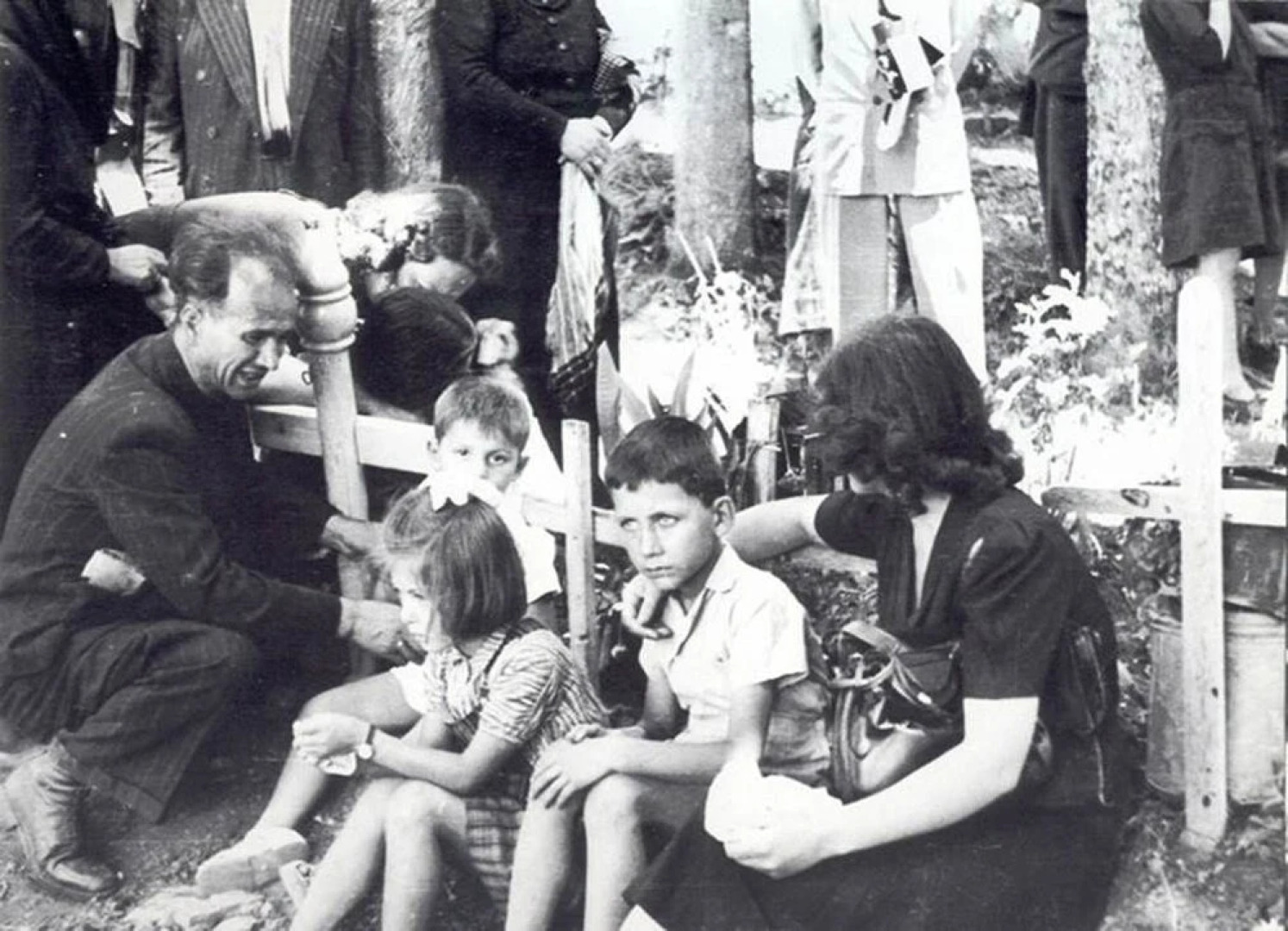 Luxury Chalet Vila with amazing view