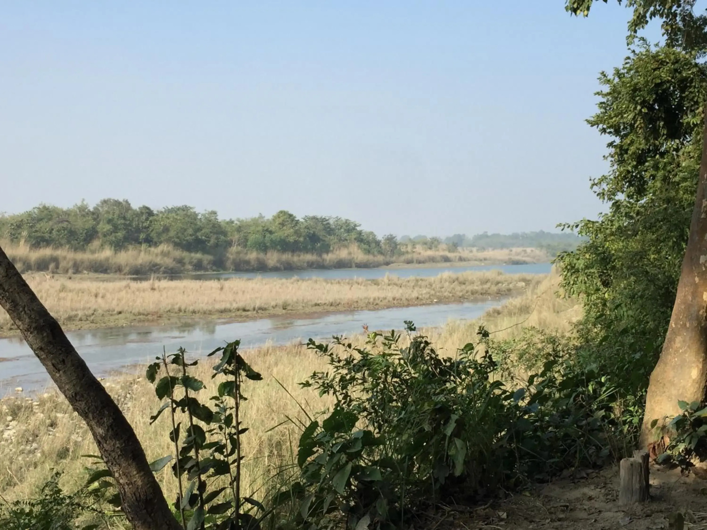 Bardia wild planet