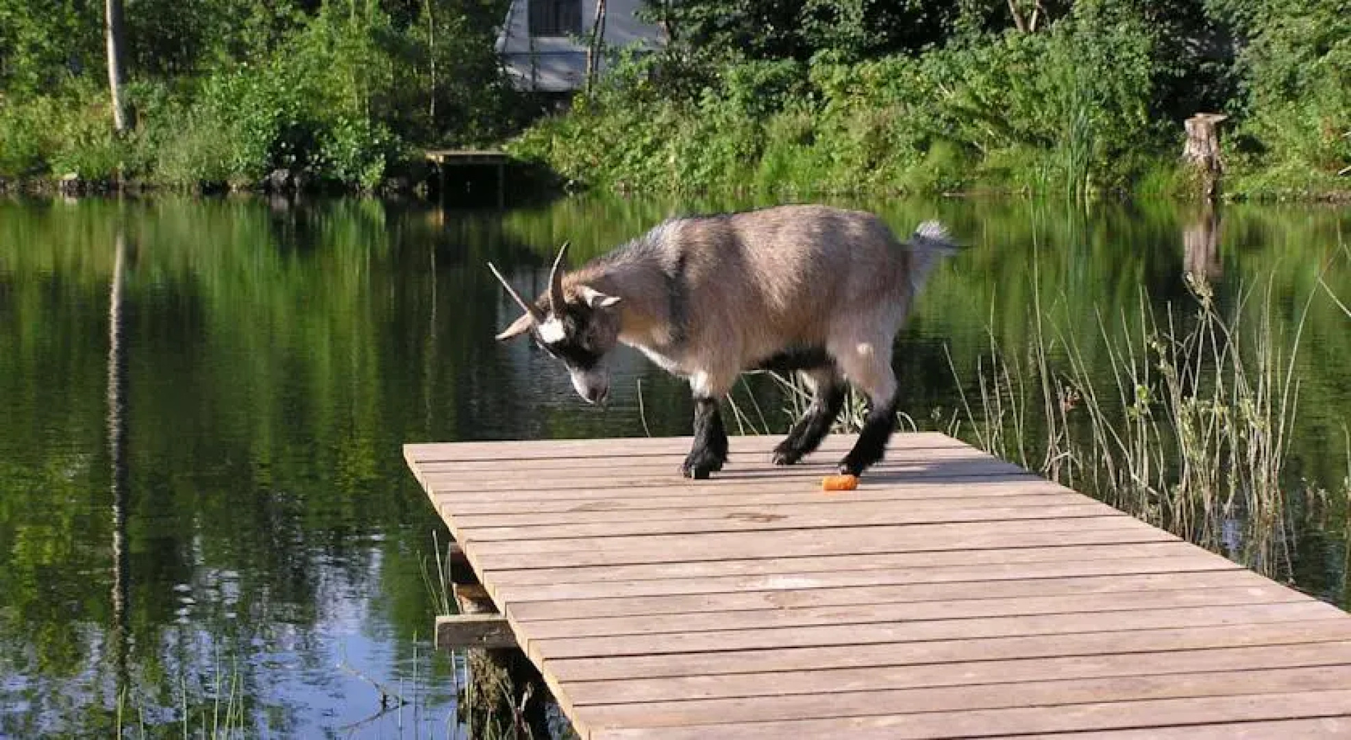 Nivå Camping & Cottages