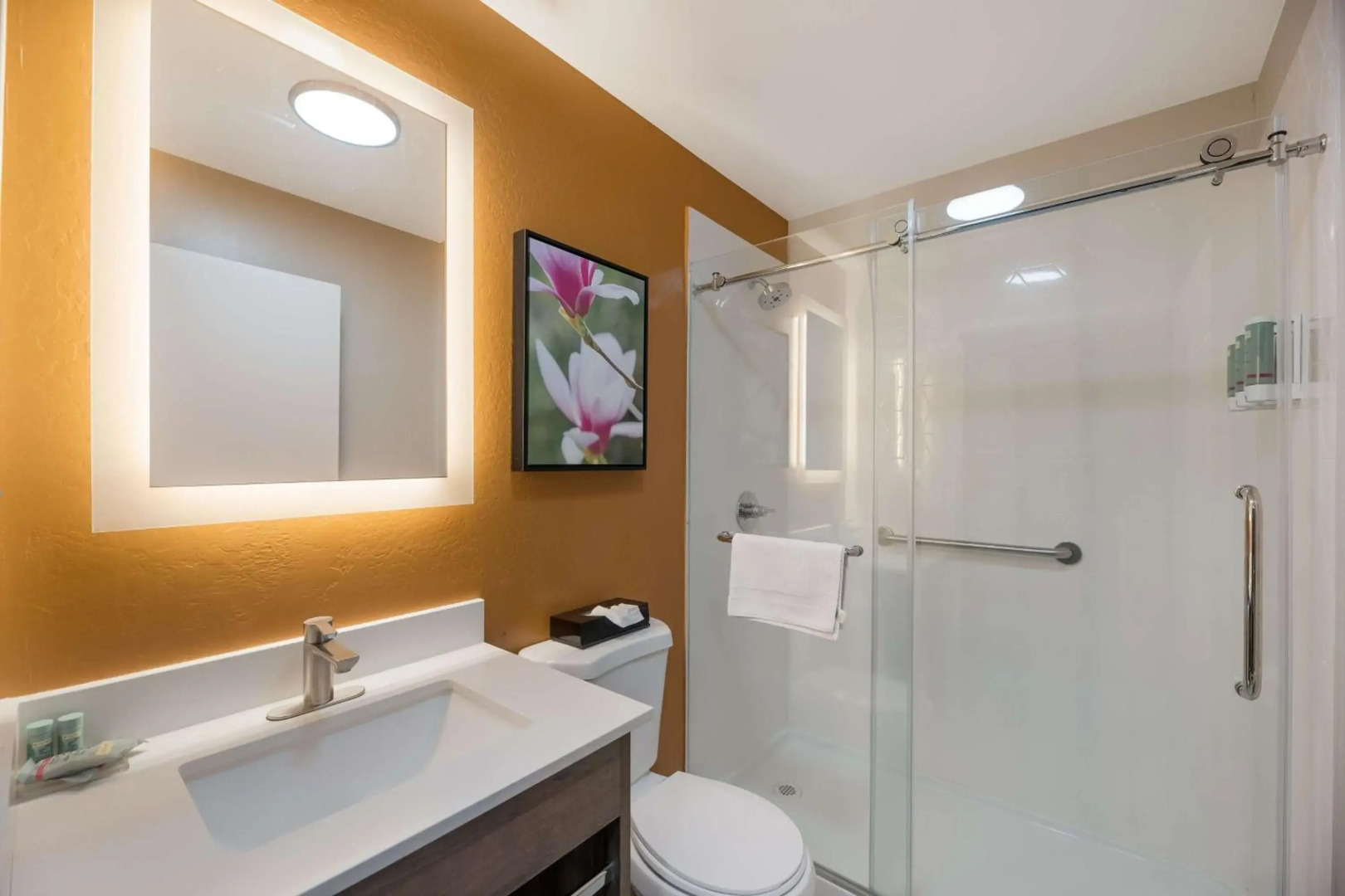 Best Western Bellemont Shadow Mountain Inn