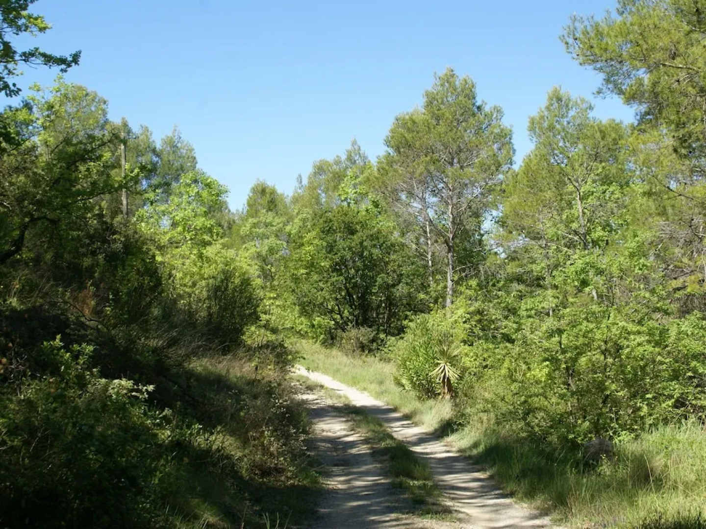 Romantic, Holiday Home in Flayosc With Private Swimming Pool and in the Forest!