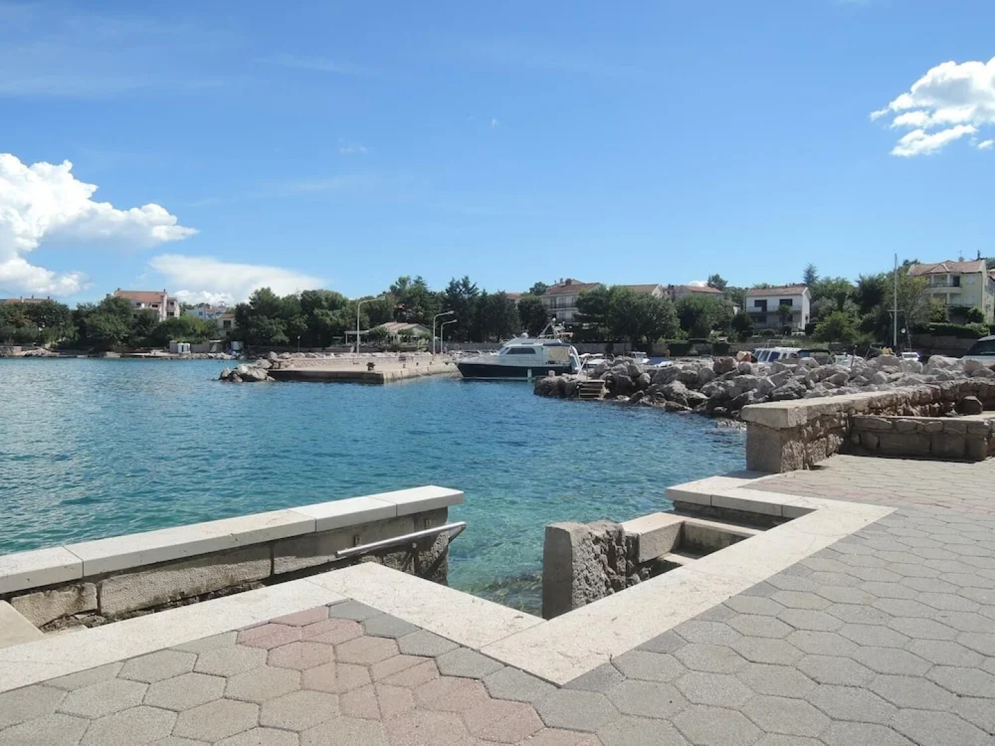 Apartment Blue Orchid