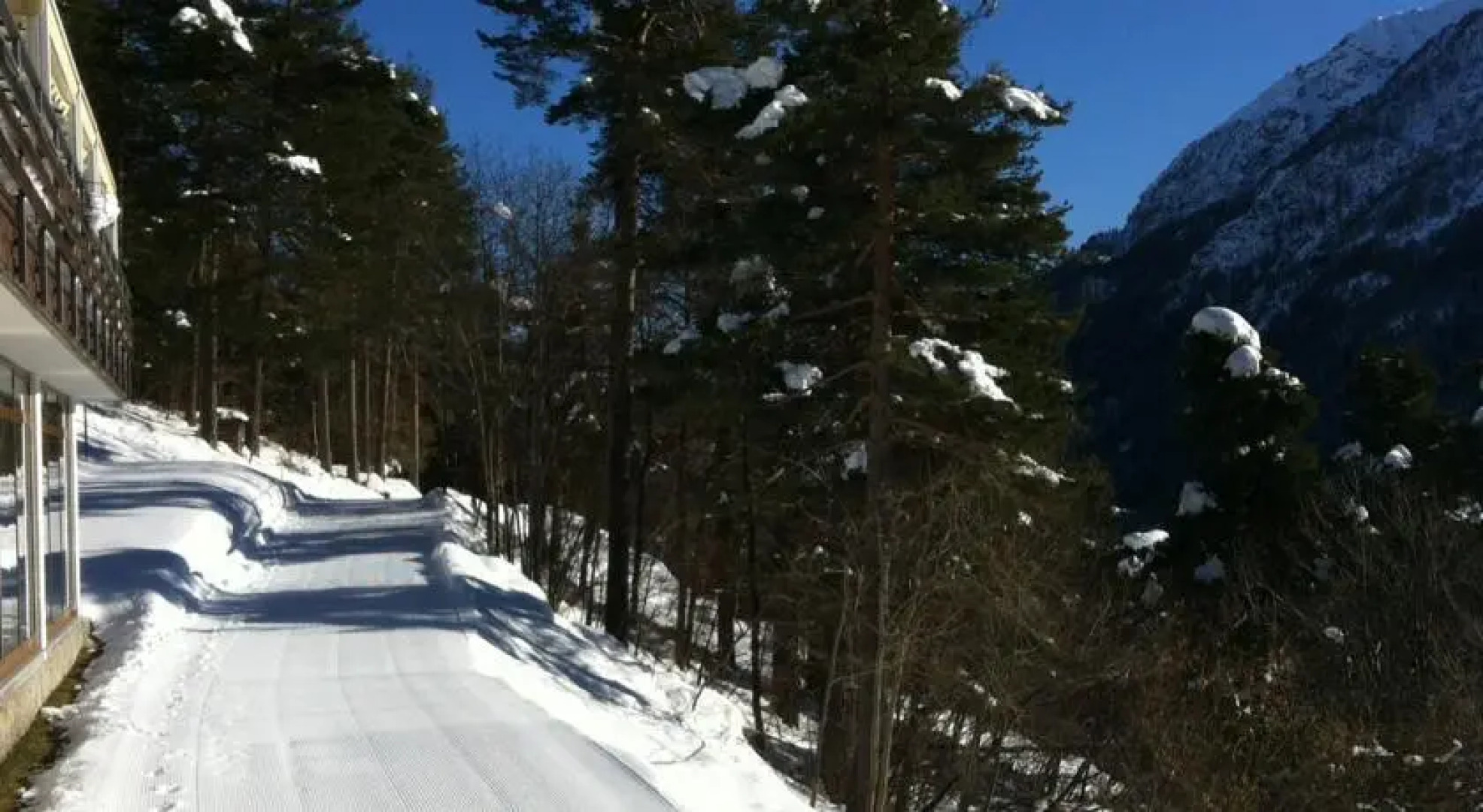 La Locanda della Pineta