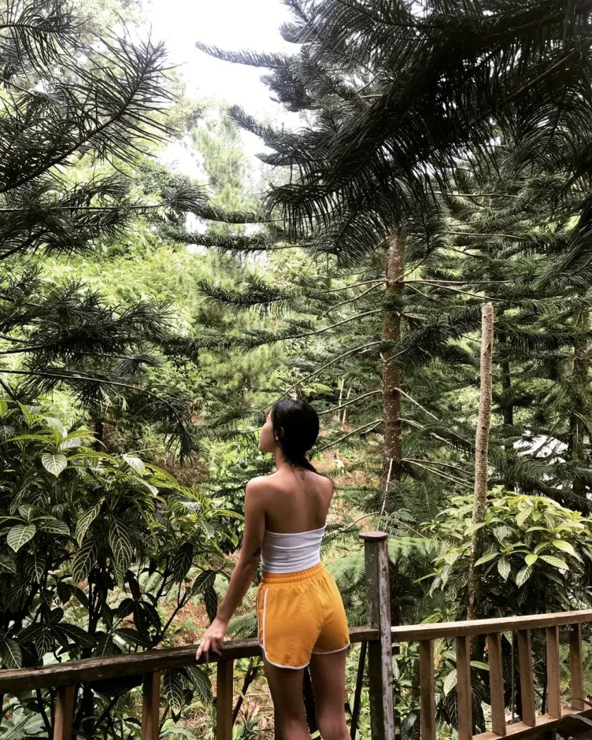 Fig Tree Hill Resort