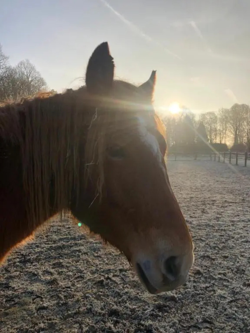 Ryefield Cottage - luxurious self-catered holiday cottage with a log burner