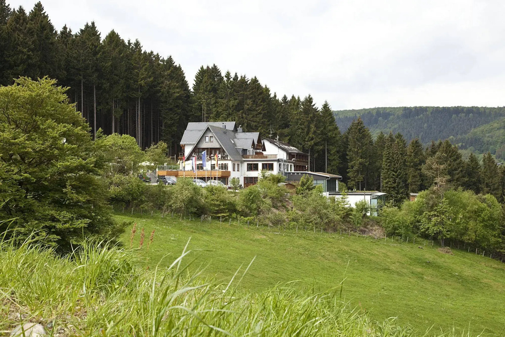Wald Hotel Willingen