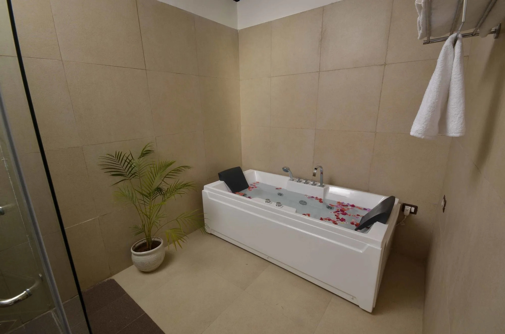 Heritage Resort Hampii