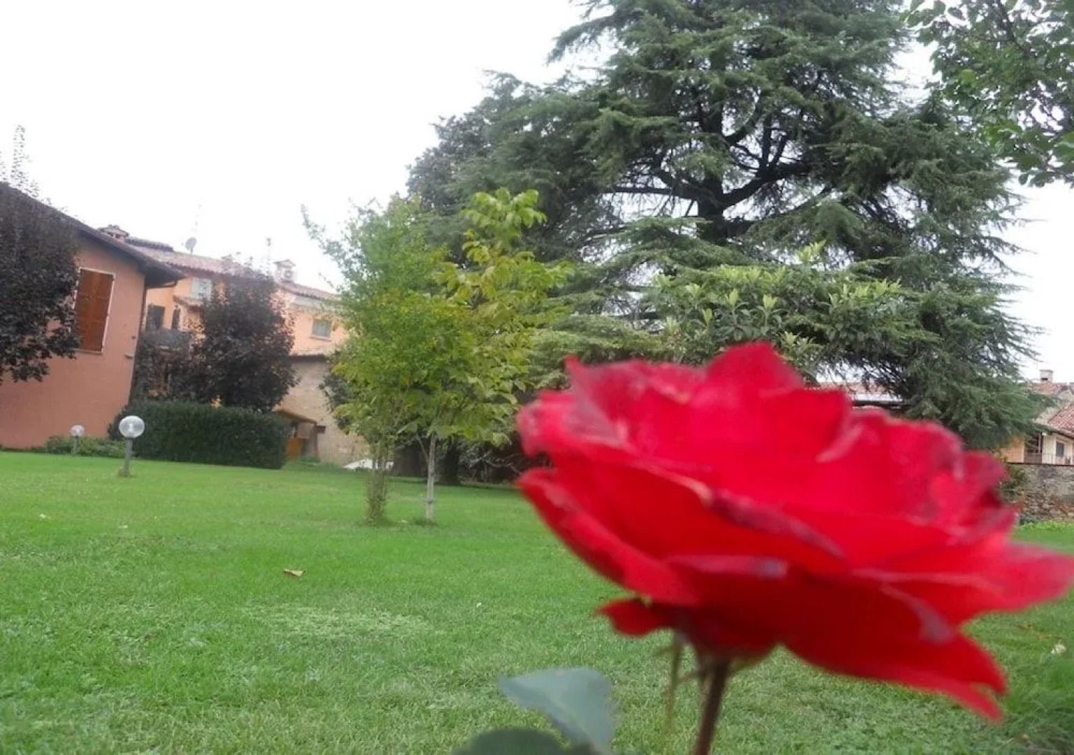 Bed&Breakfast La Corte di Carla Pagani