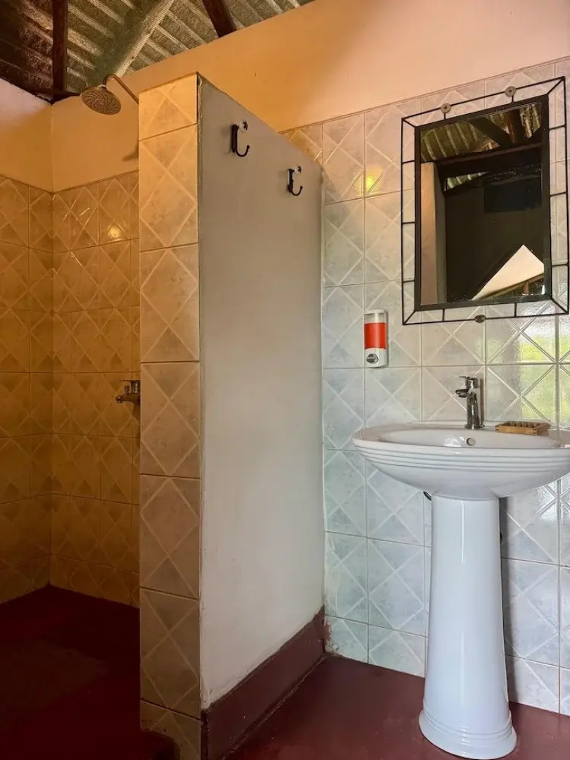 Bwana Tembo Safari Camp