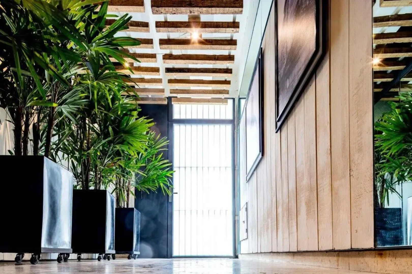 Muuuy Mexicano A 2 cuadras del Zócalo