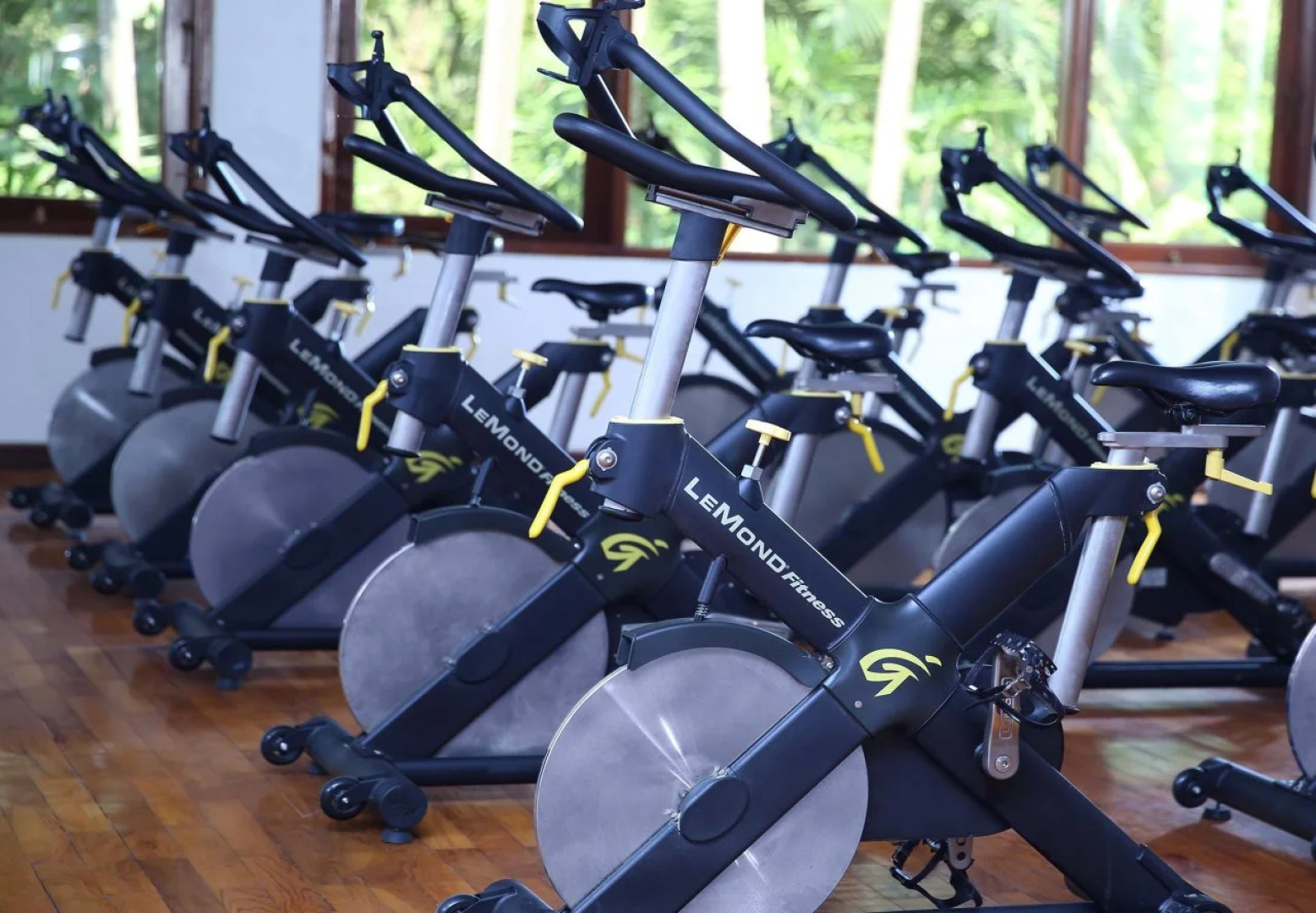 Aryaduta Lippo Village