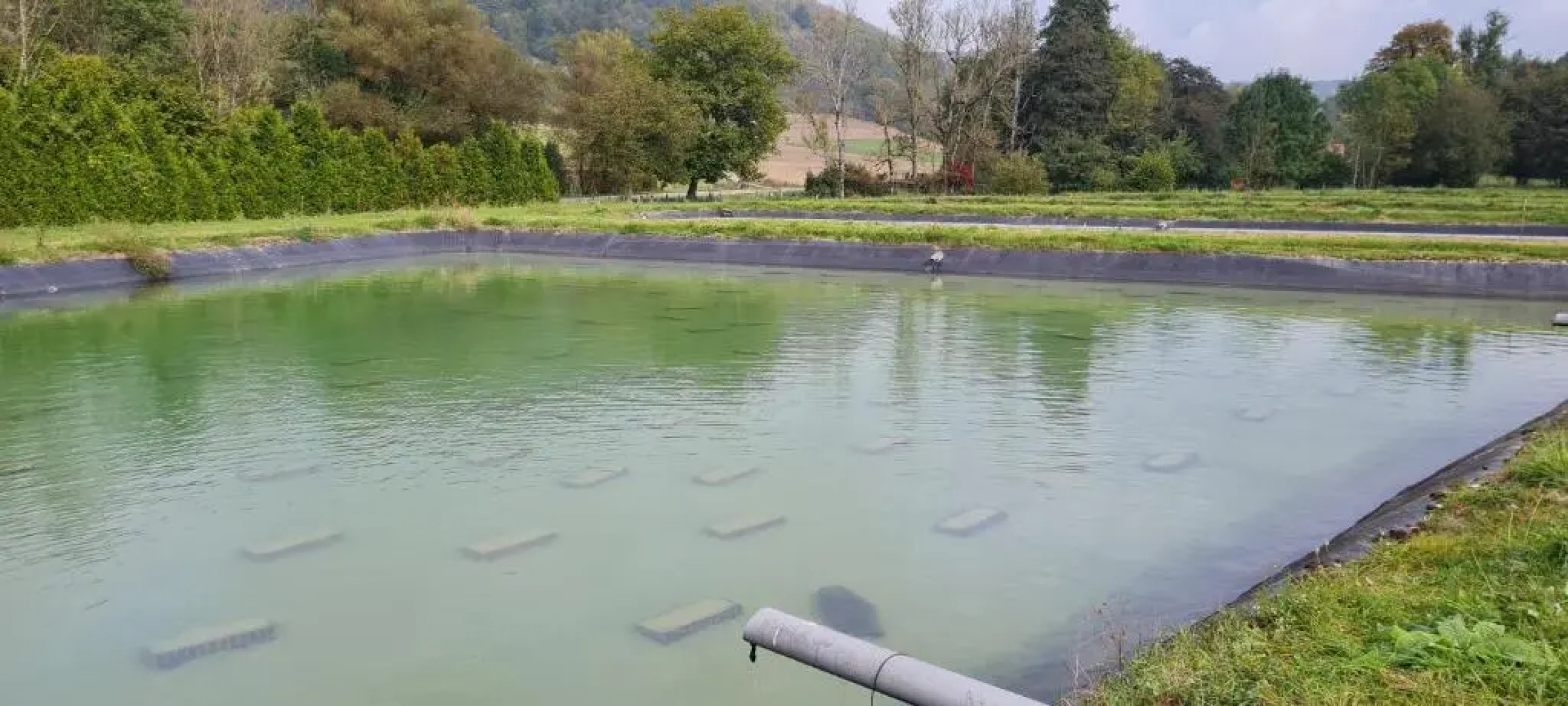 Le Moulin aux écrevisses