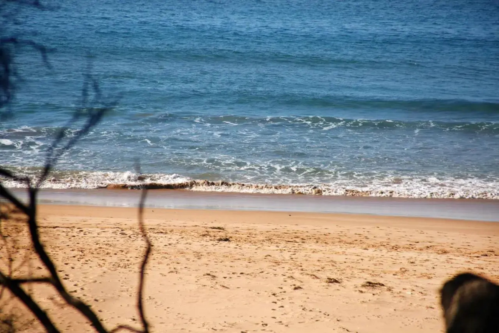 Surfspray I Pet Friendly I Absolute Beachfront