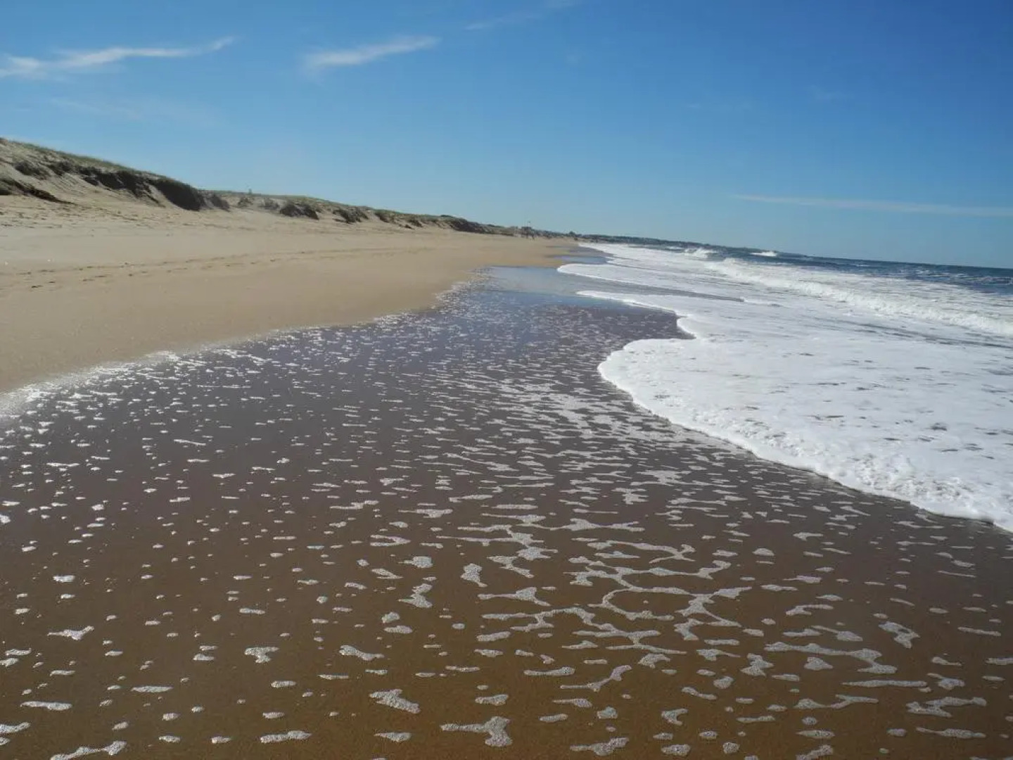 Apartment Torrelobos