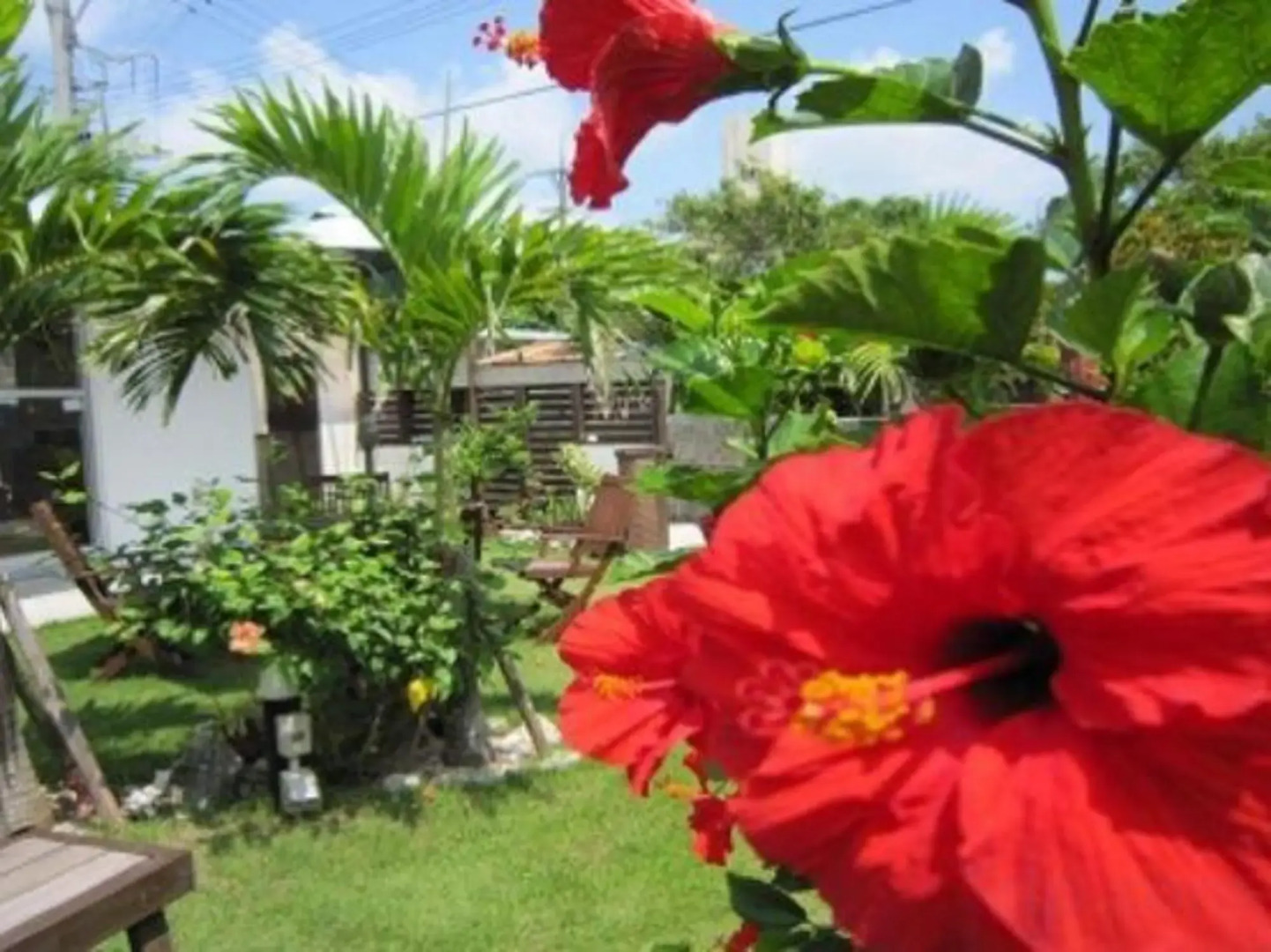 Lagoon315 (Akashima)