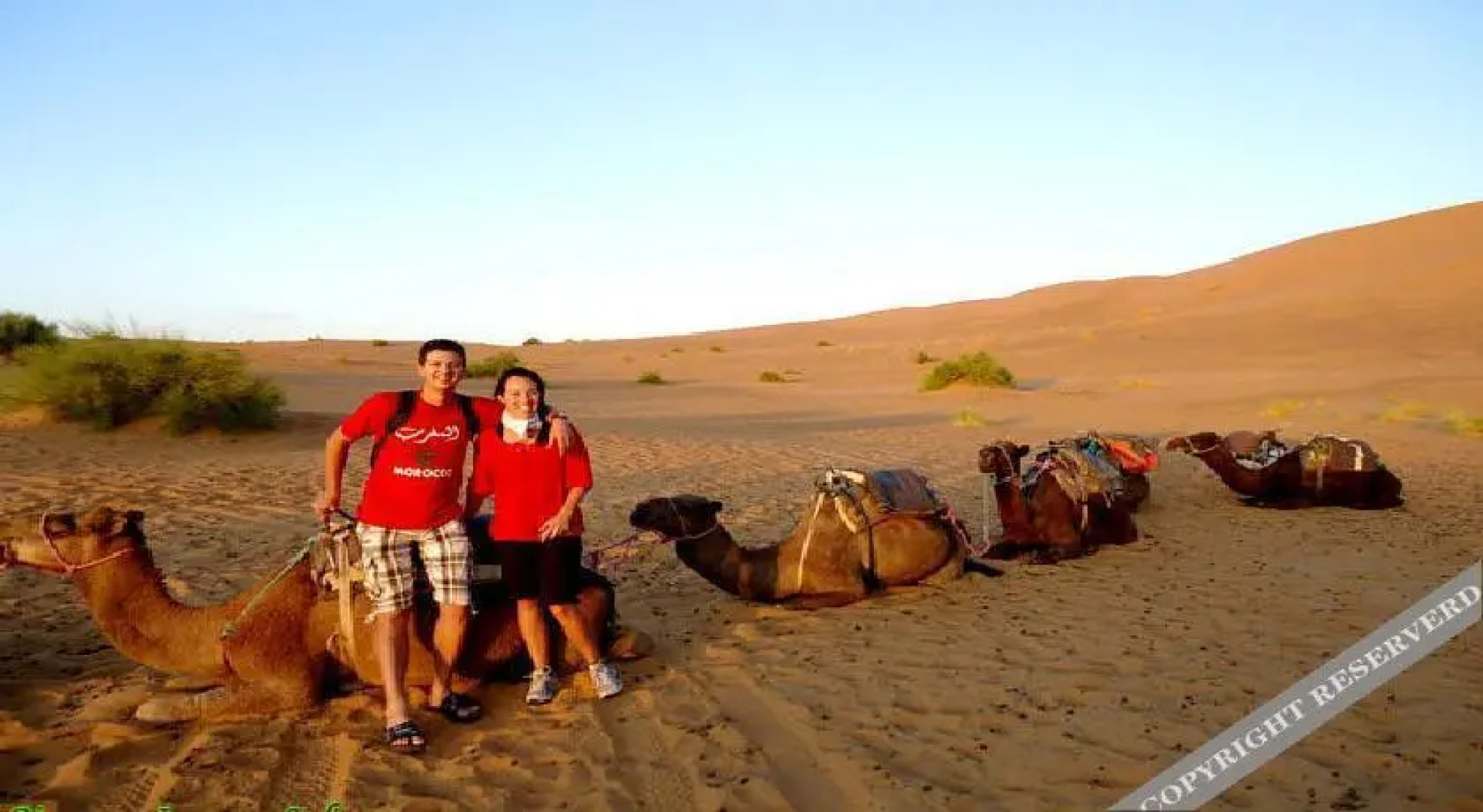 Bivouac Iguana Sahara