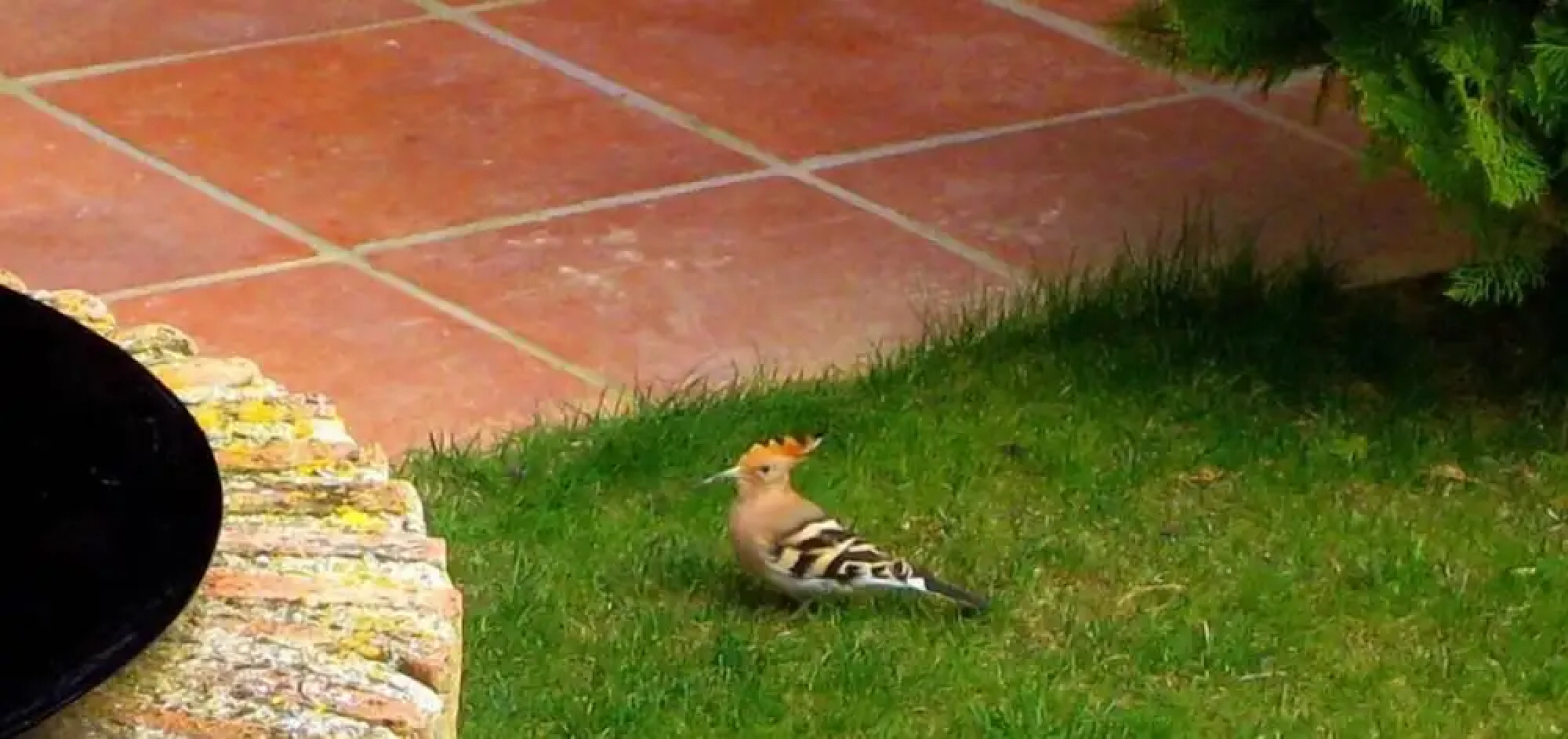 Hotel Rural Rincón de Doña Inés