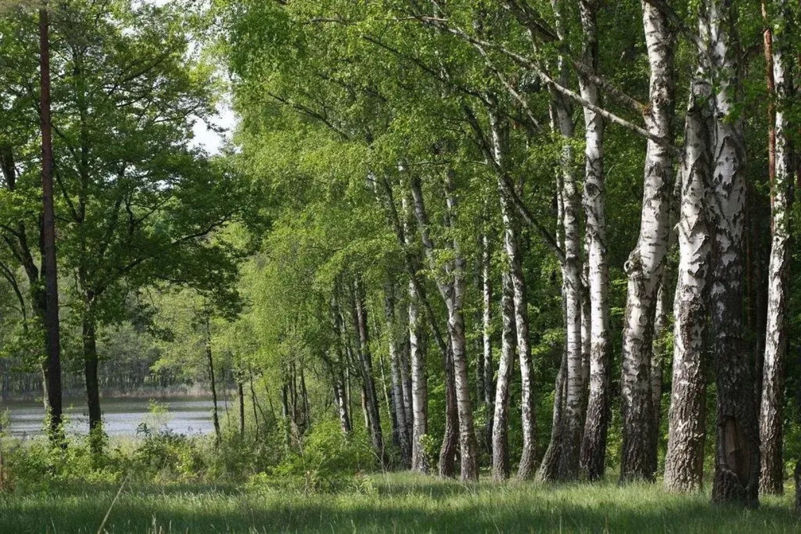 Wellnesshotel Am Birkenhain